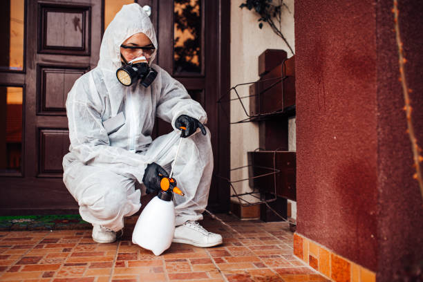 Reliable Cockroach Control contractor in West Melbourne, FL by Nex Pest Control