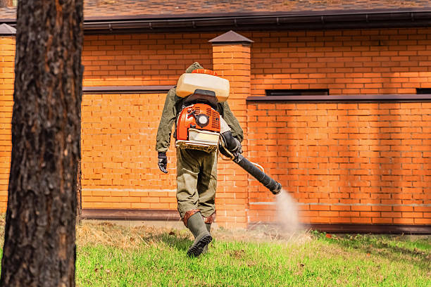 Trusted Cockroach Control service in West Melbourne, FL - Nex Pest Control